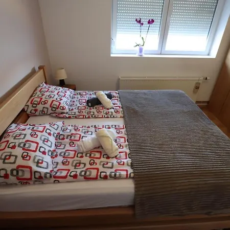 Apartament Boskovic *